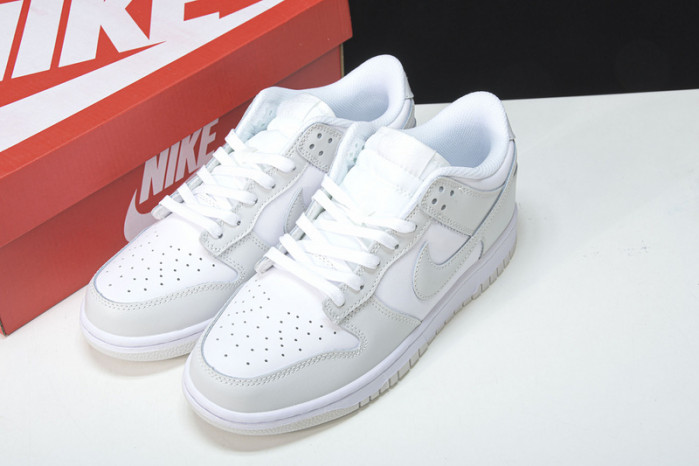 Nike Dunk Low "Photon Dust" DD1503-103