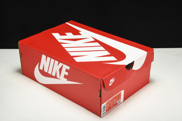 Nike Dunk Low  “B op”