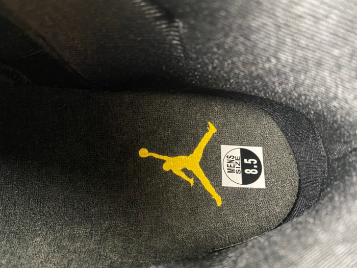 Air Jordan 11 “Gamma” CT8012-047 ( New)