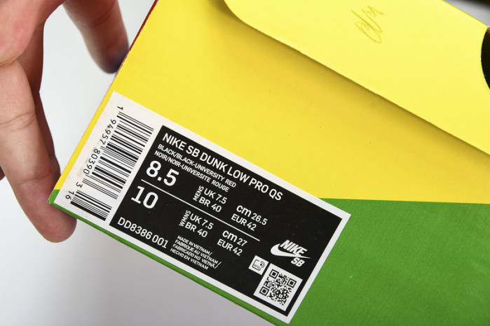 Wasted Youth x Nike SB Dunk Low DD8386-001