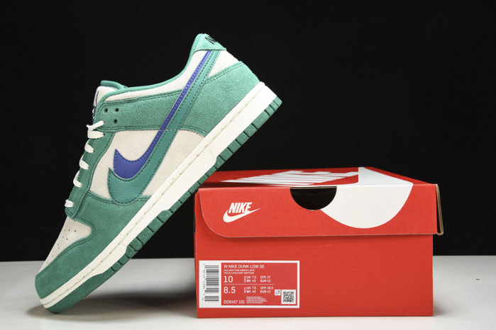 Nike Dunk Low "85" DO9457-101